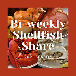 Biweekly Shellfish Shares